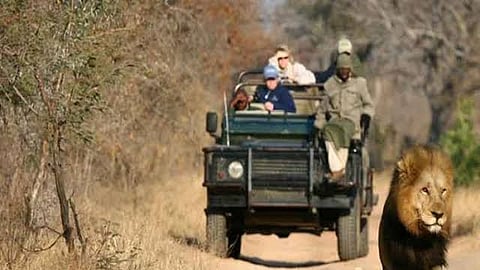 14 دولة إفريقية سافر إليها السعوديون في 2024...وهذه هي الوجهات الجديدة في القارة السمراء