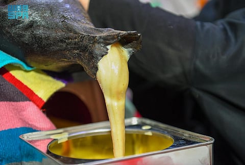 السمن البري بالحدود الشمالية.. حِرَفة أصيلة بأنامل نسائية ومعززة بـ7 ملايين رأس ماشية وإبل