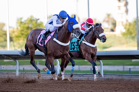 28 من الجياد الفائزة بالفئة الأولى ضمن قائمة المشاركة في كأس السعودية 2025
