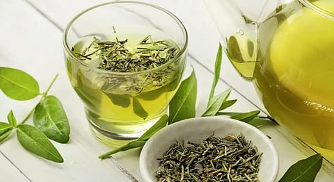 أوصت بـ 3 أكواب يومياً.. دراسة يابانية: فائدة رائعة للشاي الأخضر خاصة لكِبار السن