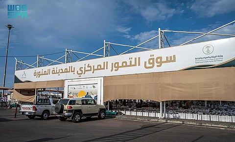 تمور المدينة المنورة تحقق إنتاجًا قياسيًا بأكثر من 343 ألف طن في 2024