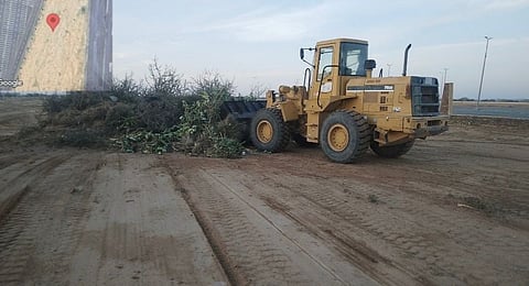 أمانة الطائف: كأس الصقور 2025 ترويج للمحافظة كوجهة سياحية