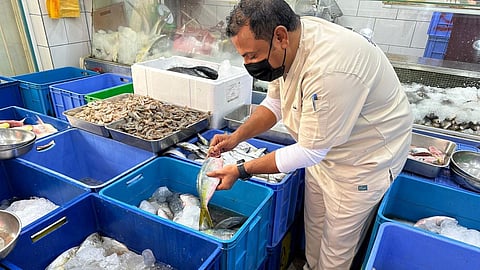 خلال جولة تفتيشية مشتركة.. ضبط 600 كيلو من الأسماك الفاسدة في خميس مشيط