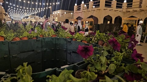 "سوق المزارعين" بالقطيف.. حراك اقتصادي وزراعي عبر منتجات عضوية 100%