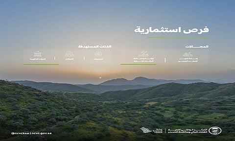 "الغطاء النباتي" يطرح فرصاً استثمارية لإعادة تدوير الحطب المسترد