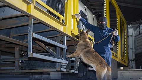 5 شركات تتأهل لإنشاء مراكز وتدريب كلاب الخدمة "K9" بالسعودية