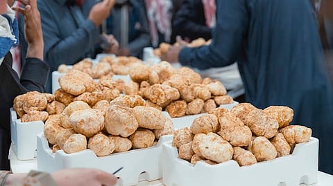 وجهة لعشاق "الكمأ".. حفر الباطن تحتفي بالـ "الفقع" وتنظم سوقاً يعزز التراث والتجارة