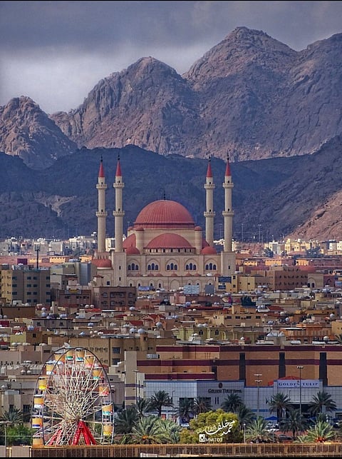 في لفتة كريمة.. مواطنة بحائل تقدم إفطارًا مجانيًا في رمضان للطالبات المغتربات