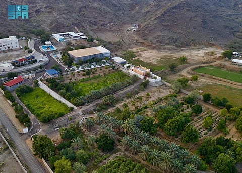 الباحة سلة غذائية... استثمارات زراعية تتجاوز 4.8 ملايين م2 ومنتجات فريدة تعزز الأمن الغذائي