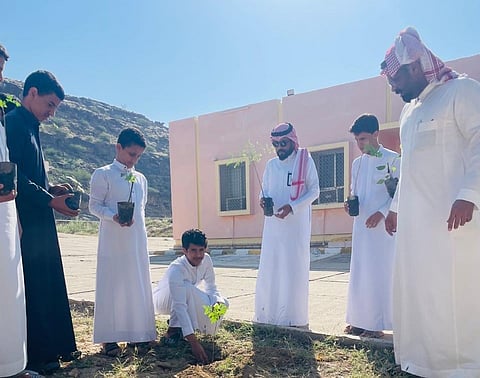 "بيئة أضم" تنفذ مبادرة لزراعة شتلات في "صحي ربوع العين" و"صحي العرج"