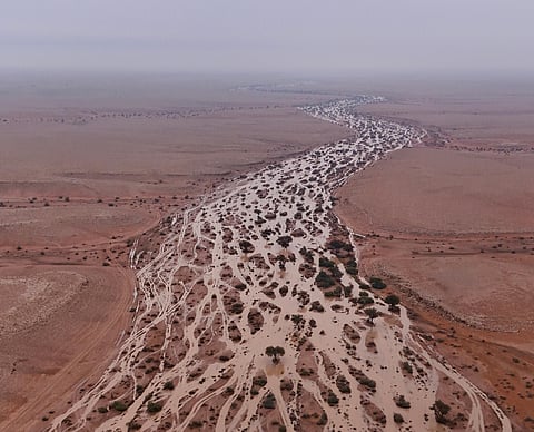 شاهد.. لوحات جمالية ومناظر ساحرة يرسمها "وادي الشوكي" شمال الرياض