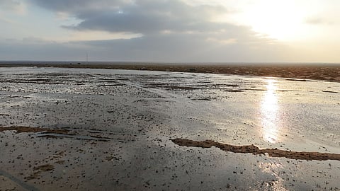 شاهد.. لوحات طبيعية خلابة رسمتها الأمطار وسط كثبان "روضة أبا سمري"