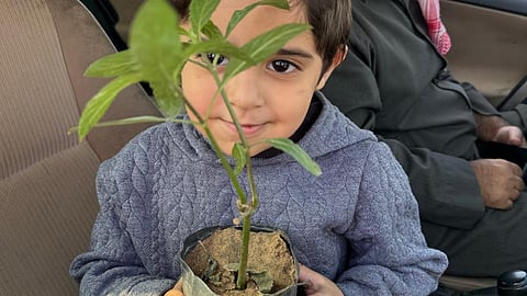 "بيئة رنية" تُوزِّع 400 شتلة متنوعة على الأهالي