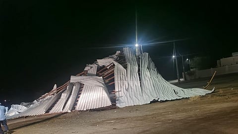 المغزالية بالرين .. العواصف تقتلع "شينكو" وتسقط أعمدة كهرباء والشركة تتفاعل