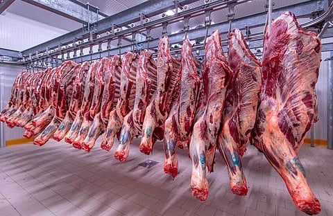 ضبطوا بعد تتبع "اللحوم المفرومة".. 5 سنوات سجناً لباعة لحوم الحمير والبغال بالجزائر