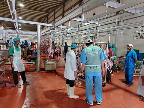 بالصور.."بيئة مكة" تنفذ أكثر من 7000 جولة رقابية لأسواق النفع العام
