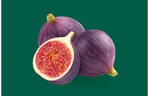 إنتاج التين المحلي يتجاوز 28 ألف طن سنويًا ويحقق اكتفاءً ذاتيًا بنسبة 107%