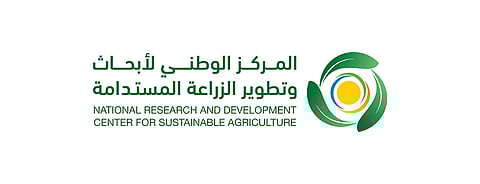 مركز "استدامة" ينشر بحثاً علمياً حول تقنية الإكثار الدقيق وإنتاج المركبات الحيوية من رمان بيدة