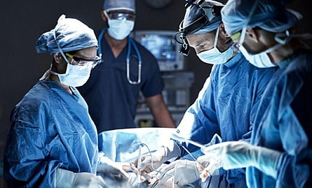 للمرة الأولى.. زراعة كبد خنزير في جسم إنسان