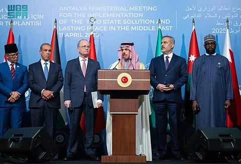 وزير الخارجية يدعو لحل نهائي للقضية الفلسطينية وإنهاء حرب غزة