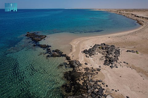شاطئ الحرة الشمالية.. لؤلؤة البحر الأحمر في أملج بجمالها الطبيعي وتجربتها الفريدة شاهد الصور