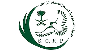 12 مركزًا متقدمًا للجنة الحمام الزاجل في مسابقة أفضل حمام بالعالم 2024