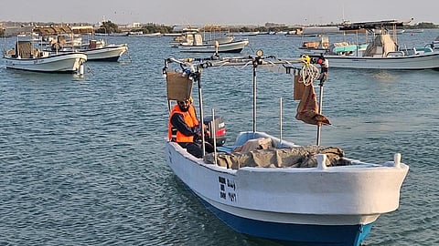رابغ تكثّف الرقابة على مرفأ الصيد وتزرع 70 شتلة في القضيمة ضمن جهود حماية البيئة البحرية