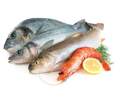 "الغذاء والدواء" توضح أبرز حالات التسمم الغذائي في الأسماك وطرق الوقاية منها