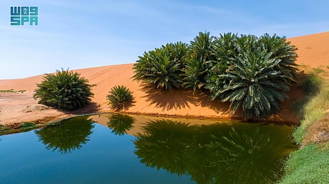 رسميًا.. انضمام "شمال الرياض جيوبارك" و"سلمى جيوبارك" إلى شبكة الجيوبارك العالمية لليونسكو