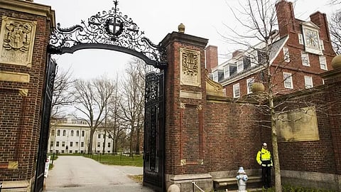جامعة هارفرد