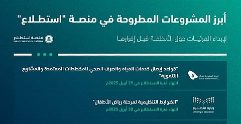 بينها "توصيل المياه للمخططات" و"مركز عالمي للذكاء الاصطناعي".. طرح 24 مشروعًا عبر "استطلاع"