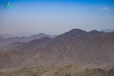 جبال الطائف.. مجموعة متناثرة من المواطن الطبيعية تحتضن أعدادًا كبيرة من الحيوانات