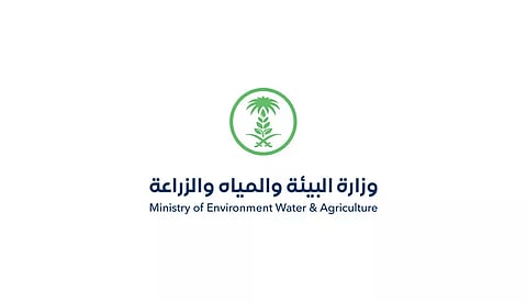 "بيئة القصيم" ينفّذ 1121 جولة رقابية على الأسواق والمسالخ