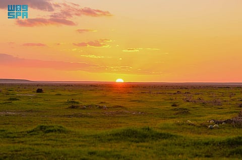 الحدود الشمالية.. تنوُّع جغرافي ثري وفُرص واعدة للسياحة البيئية