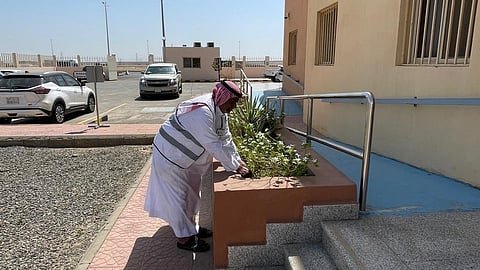 ضمن حملة زيادة الرقعة الخضراء.. "بيئة رابغ" تُشجّر المركز الصحي بصعبر 