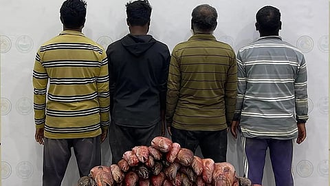 ضبط 4 مقيمين يمارسون الصيد في منطقة محظورة بسواحل الليث