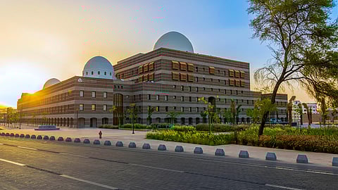 المدينة المنورة.. تطوير أنظمة ريّ بتقنيات ذكية لسقيا النباتات في الطرق