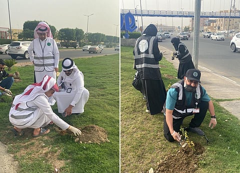 ضمن مبادرات التشجير الحضري.. بيئة الطائف تزرع 200 شتلة