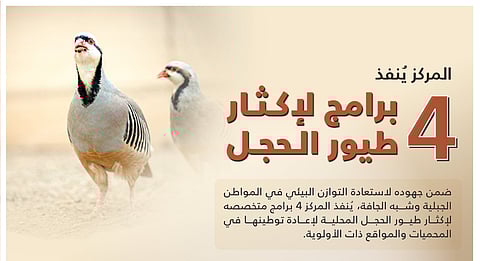 "الحياة الفطرية" يُطلق 4 برامج لإكثار طيور الحجل تمهيدًا لإعادة توطينها في بيئاتها الطبيعية