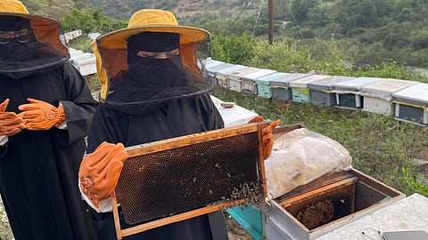 طالبات "رجال ألمع" يشاركن في تربية النحل عبر مبادرة نوعية تدعم "السعودية الخضراء"