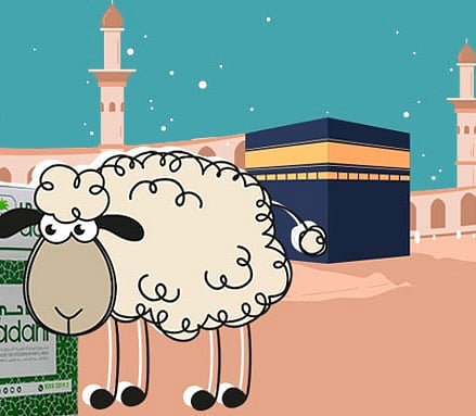 الأضحية والهدي.. شعيرتان عظيمتان تتفقان في الصورة وتفترقان في الأحكام والمقاصد