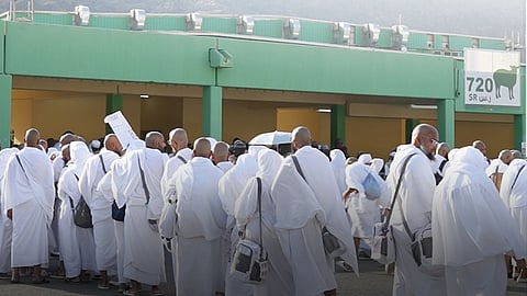 "أضاحي" تبدأ عملياتها التشغيلية في يوم النحر لخدمة حجاج بيت الله الحرام