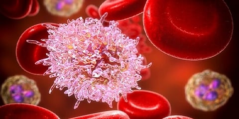 بدون الكيميائي.. مزيج من دوائين يكافح سرطان الدم لدى 94% من المرضى