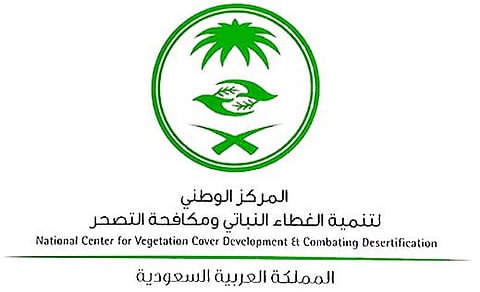 في إنجاز بيئي يُجسد التزام المملكة بالاستدامة.. زراعة 31 مليون شجرة في الشرقية
