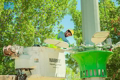 تبوك.. صيانة 365 فانوس إنارة وتغيير 12 لوحة تحكم خلال ستة أشهر