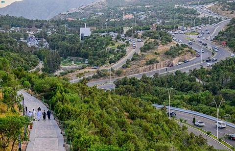 500 فعالية بين الطبيعة والترفيه  في الباحة... صيف 2025 "لوّن صيفك" وتجارب لا تنسى