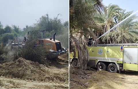 "بيئة العرضيات" تباشر حريقًا بـ"وادي يبه" مع الجهات الحكومية