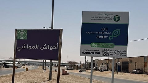 غياب الميزان في سوق مواشي القويعية رغم بدء تنفيذ قرار "البيع بالوزن"