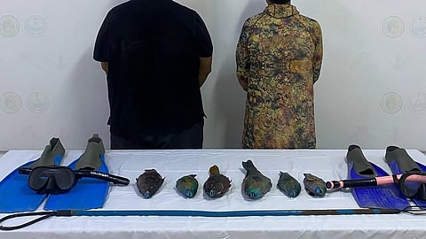 حرس الحدود بتبوك يضبط مواطنين لممارستهما الصيد دون تصريح في المناطق البحرية للمملكة