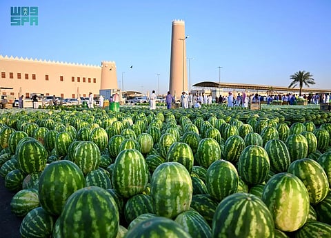 "فاكهة الصيف".. البطيخ يعود إلى الأسواق مُعلنًا انطلاق موسمه وسط إقبال واسع من المتسوّقين